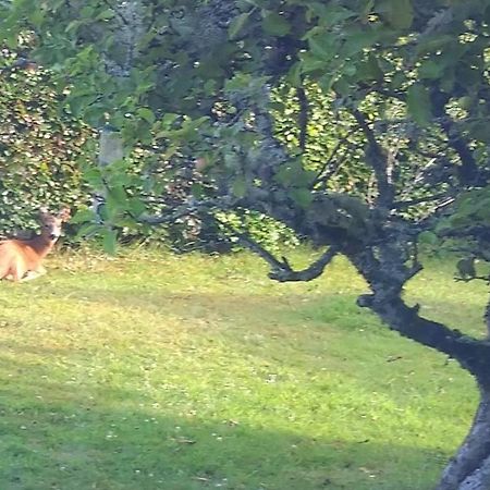 Bed and Breakfast Aquila Retreats Comrie Esterno foto