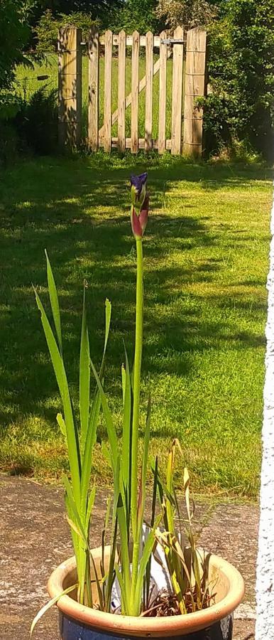 Bed and Breakfast Aquila Retreats Comrie Esterno foto
