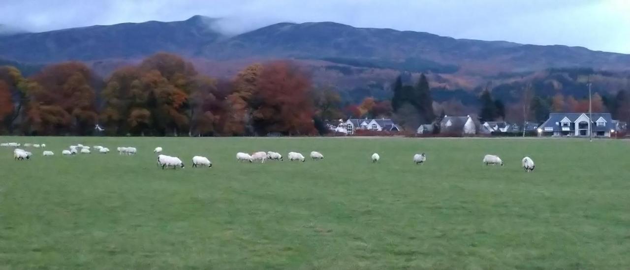 Bed and Breakfast Aquila Retreats Comrie Esterno foto