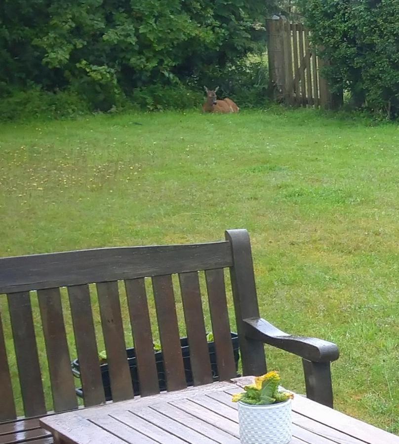 Bed and Breakfast Aquila Retreats Comrie Esterno foto