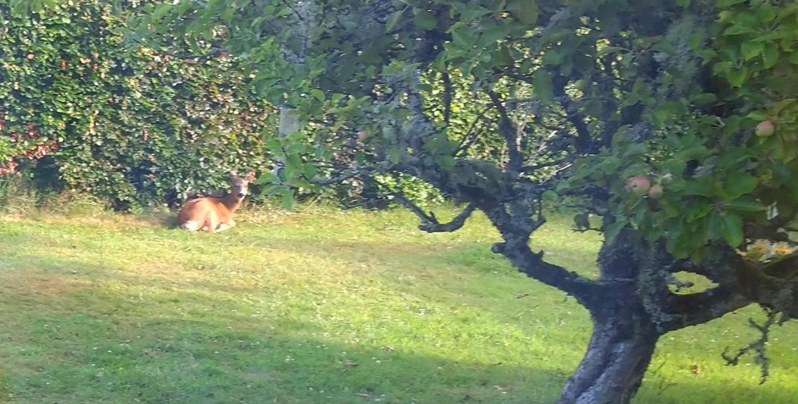 Bed and Breakfast Aquila Retreats Comrie Esterno foto