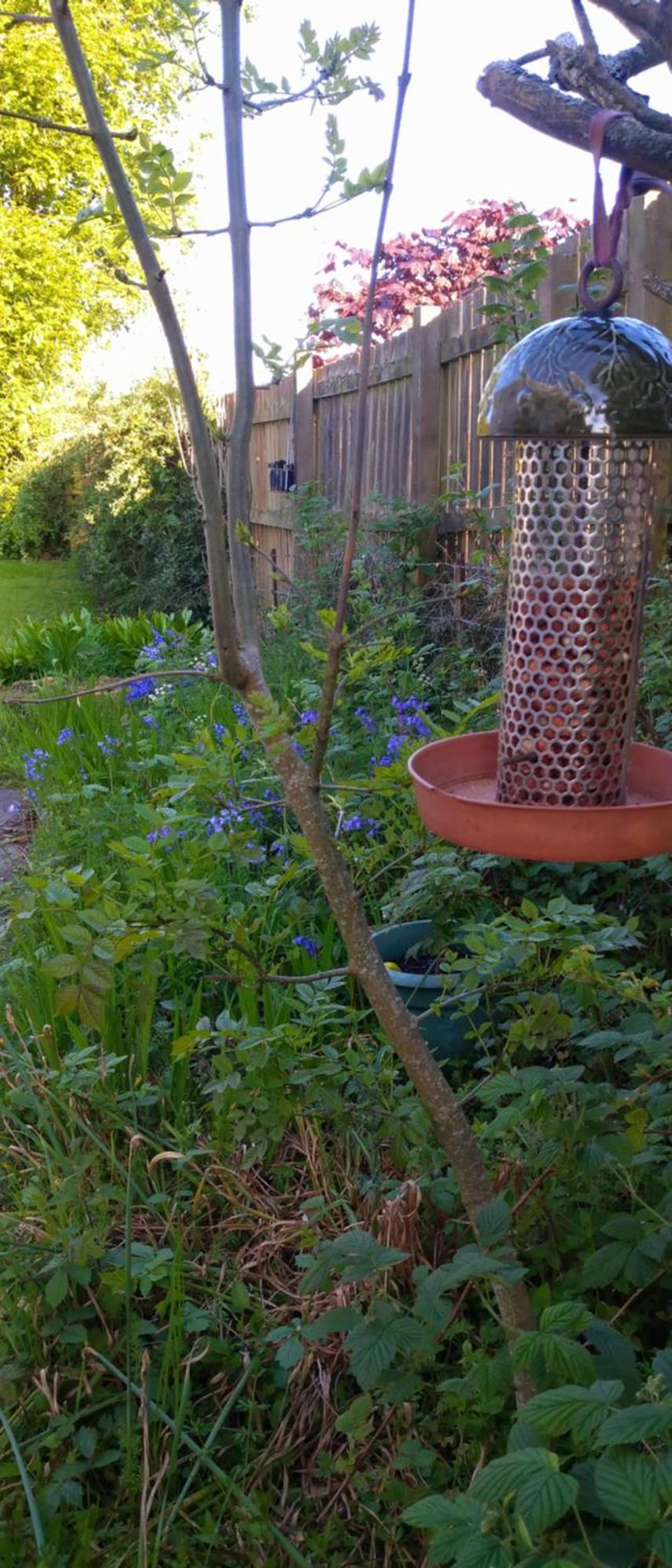 Bed and Breakfast Aquila Retreats Comrie Esterno foto
